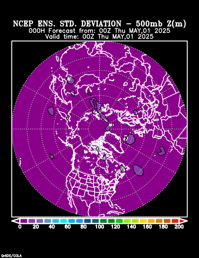 NCEP Ensemble forecast product