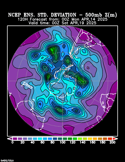 NCEP Ensemble t = 120 hour forecast product