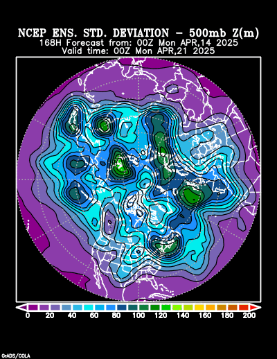 NCEP Ensemble forecast product