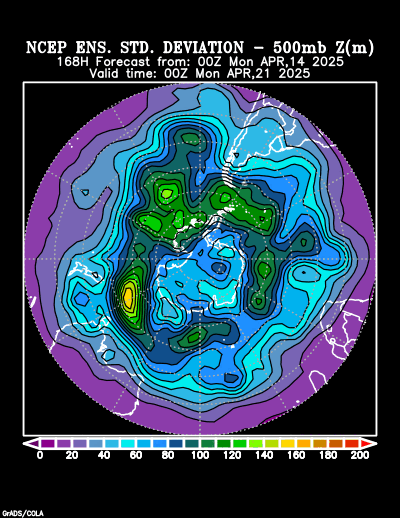 NCEP Ensemble t = 168 hour forecast product