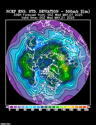 NCEP Ensemble t = 336 hour forecast product