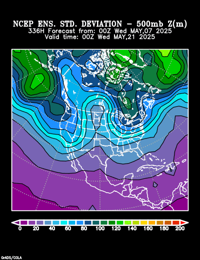 NCEP Ensemble t = 336 hour forecast product