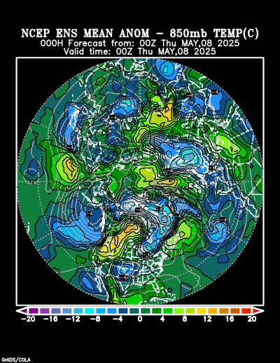 NCEP Ensemble t = 000 hour forecast product