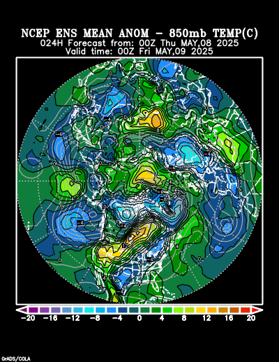 NCEP Ensemble t = 024 hour forecast product