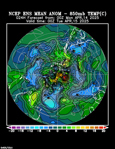 NCEP Ensemble forecast product