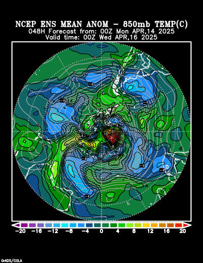 NCEP Ensemble t = 048 hour forecast product