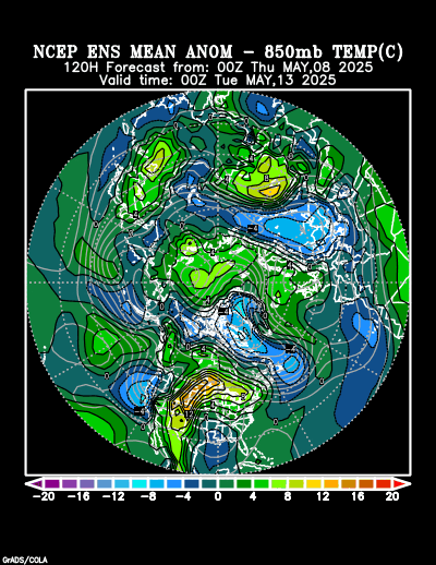 NCEP Ensemble t = 120 hour forecast product
