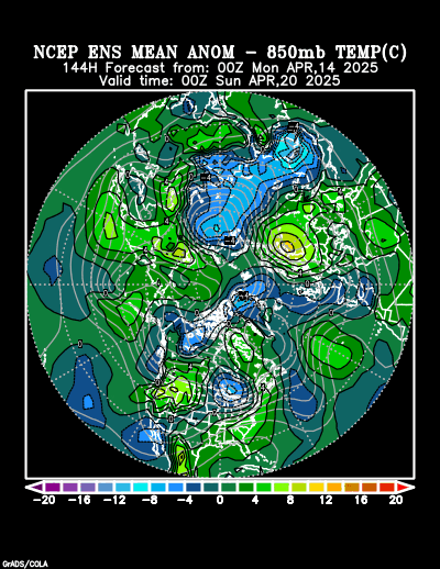 NCEP Ensemble forecast product