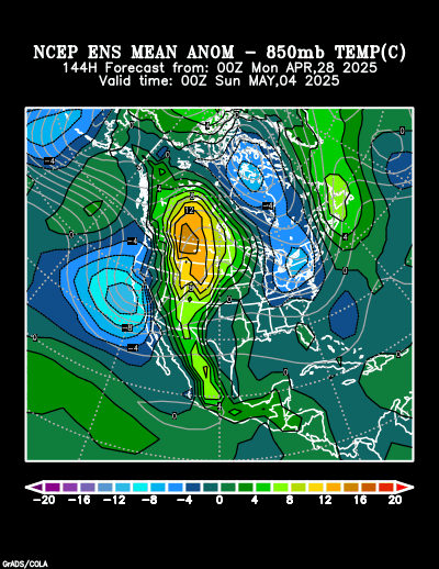 NCEP Ensemble t = 144 hour forecast product