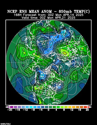 NCEP Ensemble forecast product