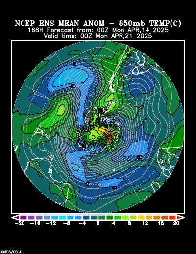 NCEP Ensemble t = 168 hour forecast product