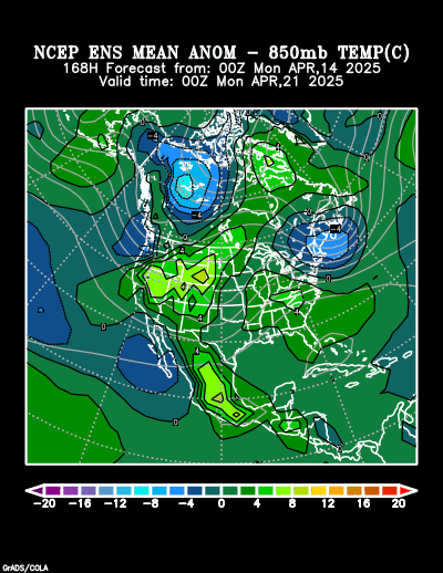 NCEP Ensemble forecast product