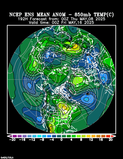 NCEP Ensemble t = 192 hour forecast product