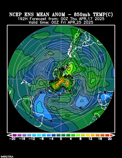 NCEP Ensemble t = 192 hour forecast product