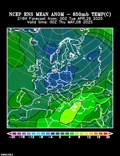 NCEP Ensemble t = 216 hour forecast product