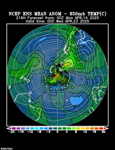 NCEP Ensemble forecast product