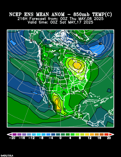 NCEP Ensemble t = 216 hour forecast product