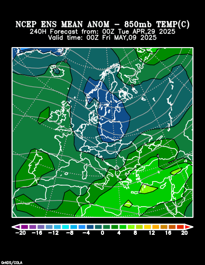 NCEP Ensemble t = 240 hour forecast product