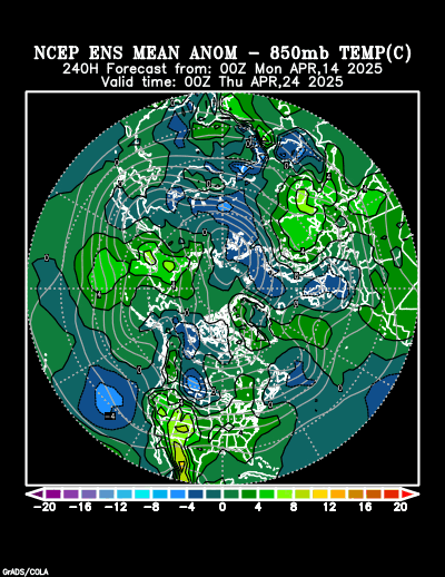 NCEP Ensemble forecast product