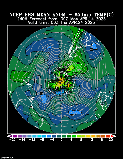 NCEP Ensemble t = 240 hour forecast product