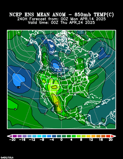 NCEP Ensemble forecast product