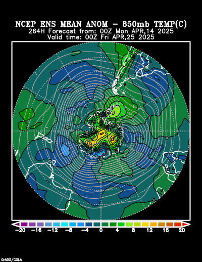 NCEP Ensemble t = 264 hour forecast product