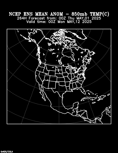 NCEP Ensemble t = 264 hour forecast product