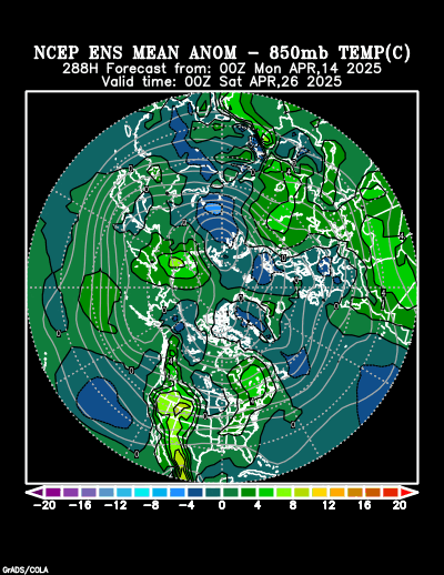 NCEP Ensemble forecast product