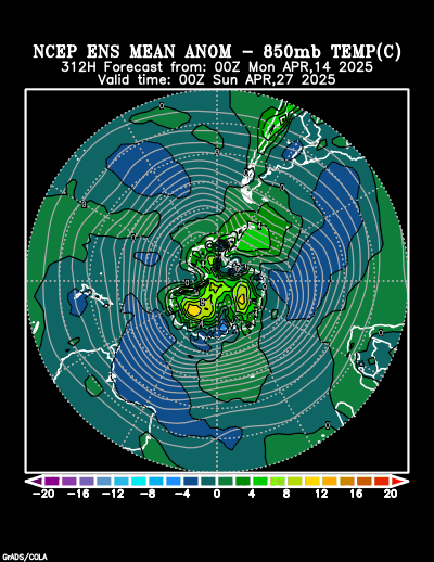 NCEP Ensemble t = 312 hour forecast product