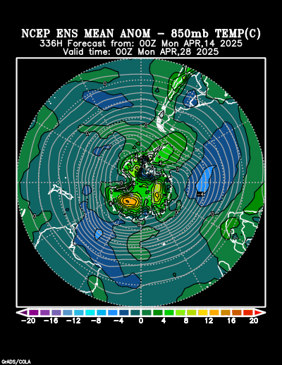 NCEP Ensemble t = 336 hour forecast product