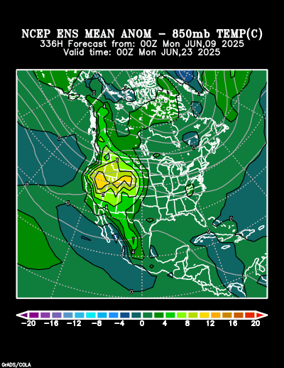 NCEP Ensemble t = 336 hour forecast product