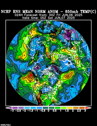 NCEP Ensemble forecast product