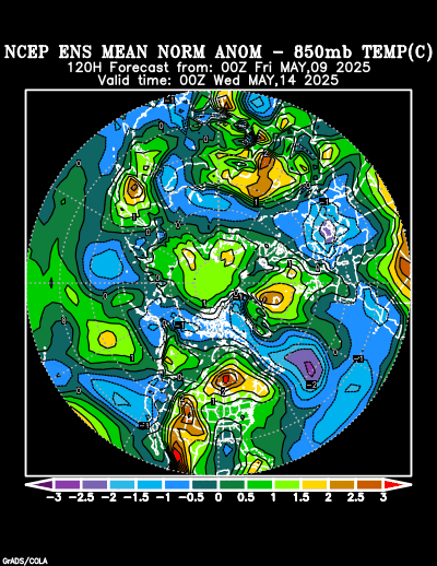 NCEP Ensemble forecast product