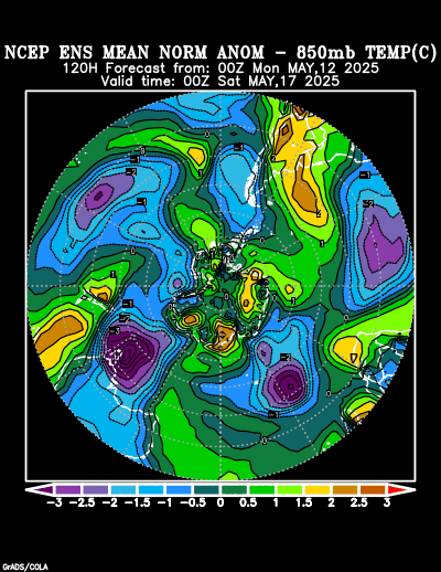 NCEP Ensemble forecast product