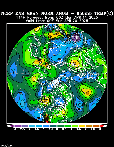 NCEP Ensemble forecast product