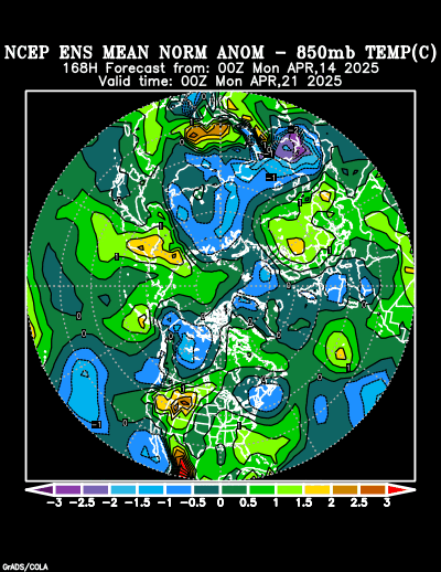 NCEP Ensemble forecast product