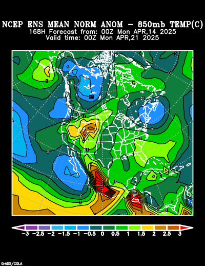 NCEP Ensemble forecast product