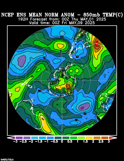 NCEP Ensemble forecast product