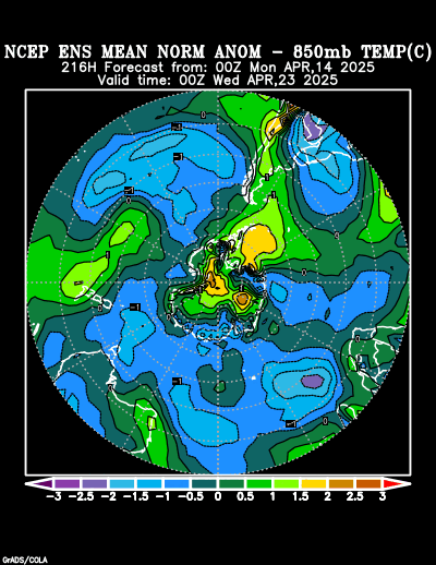 NCEP Ensemble forecast product