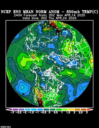 NCEP Ensemble forecast product