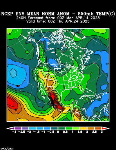 NCEP Ensemble forecast product