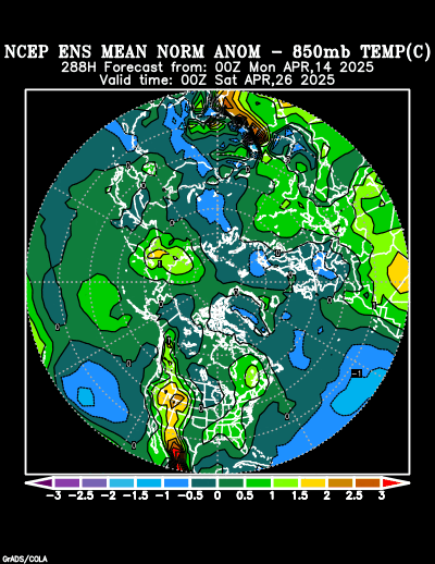 NCEP Ensemble forecast product