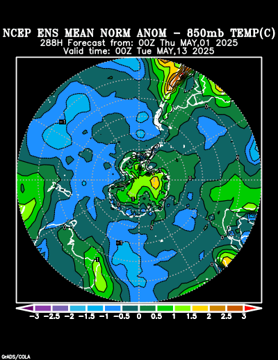 NCEP Ensemble forecast product