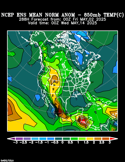 NCEP Ensemble forecast product