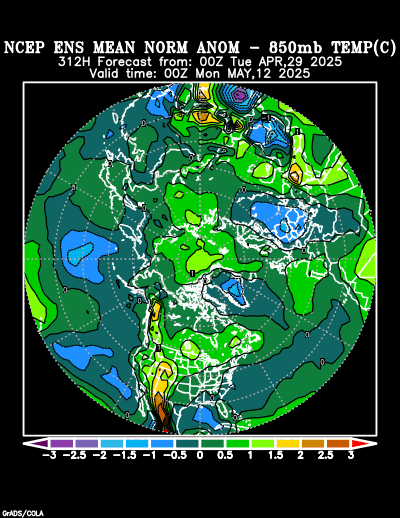 NCEP Ensemble forecast product