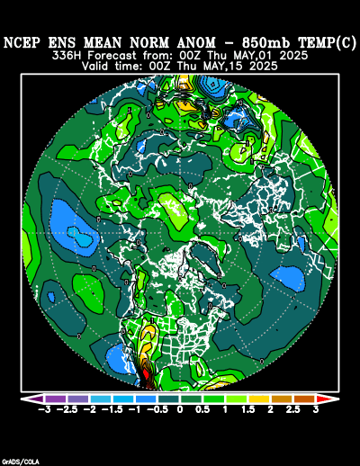 NCEP Ensemble forecast product