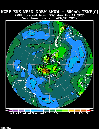 NCEP Ensemble forecast product