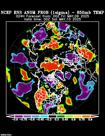 NCEP Ensemble forecast product