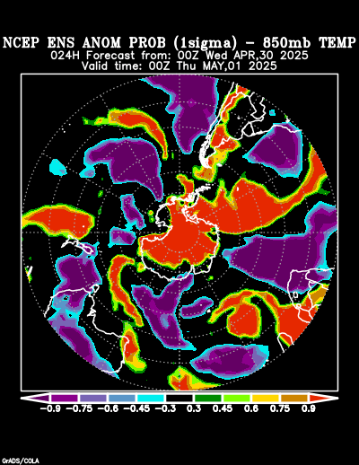 NCEP Ensemble forecast product