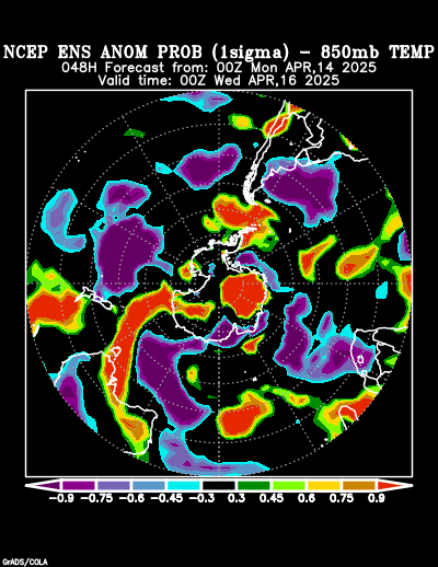 NCEP Ensemble forecast product